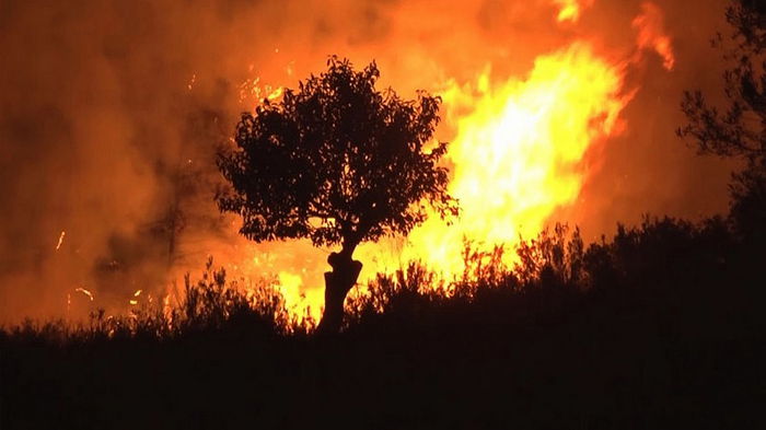 В Испании продолжают бушевать масштабные лесные пожары (видео)