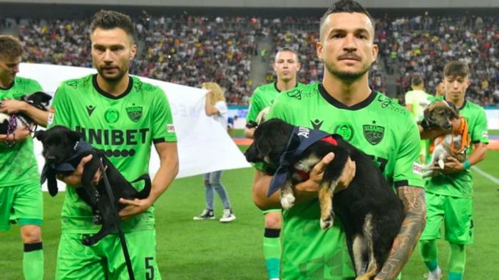 Футболисты румынского клуба вышли на матч с собаками из приюта