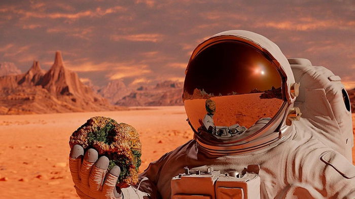 Первый полет на Марс: сколько астронавтов должно полететь, чтобы миссия была успешной