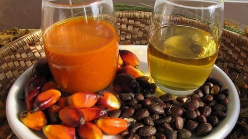 В Украине запретят использовать пальмовое масло в продуктах