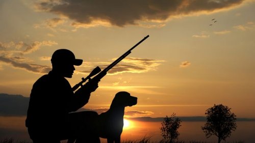 Ружье для начинающего охотника: советы и рекомендации по выбору