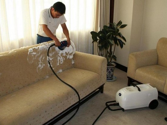 Как правильно провести чистку замшевого дивана