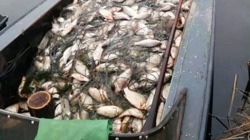 В Украине увеличили штрафы за незаконный лов рыбы