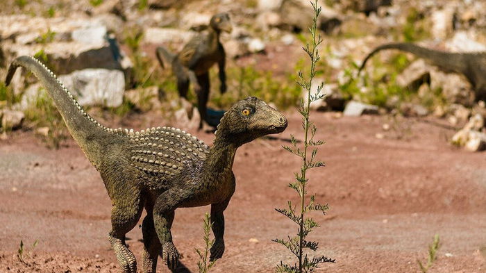 Динозавры демонстрировали социальное поведение уже 193 млн лет назад