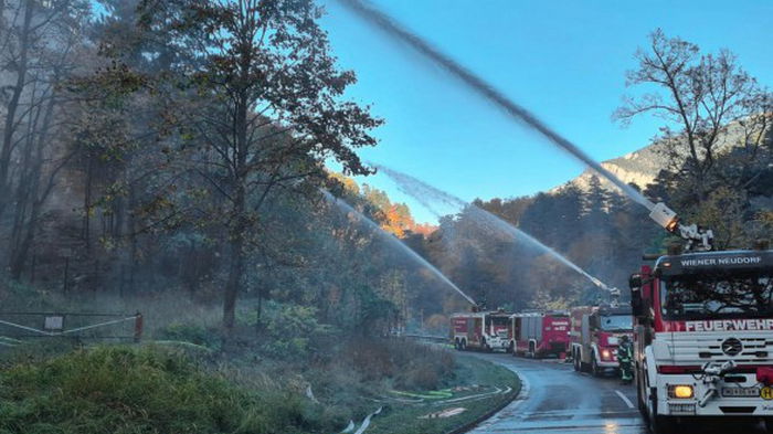 В Австрии уже несколько дней бушует масштабный лесной пожар (видео)