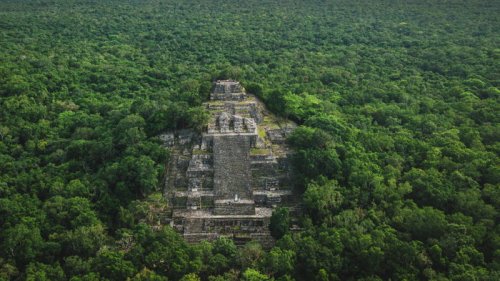В Мексике обнаружили около 500 скрытых комплексов древних майя
