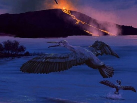 Геологи нашли в Арктике неизвестную ранее зубастую птицу (видео)