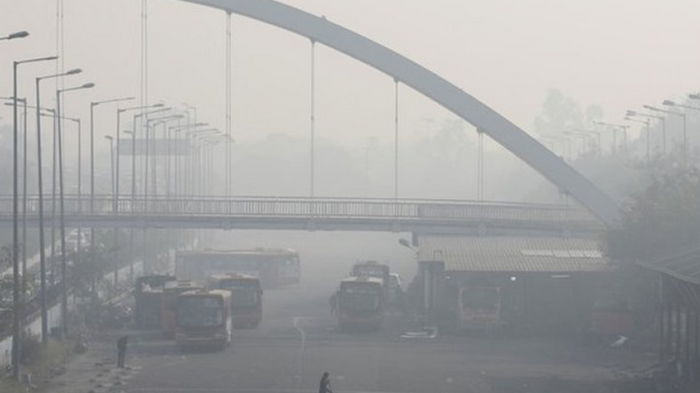 В Нью-Дели объявили локдаун из-за смога