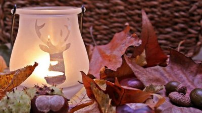 Праздники 17 ноября: факты, традиции, приметы