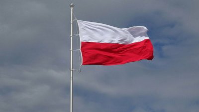 В Польше решили круглосуточно строить заграждение на границе с Белоруссией