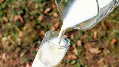 Производство молока в Украине сокращается - эксперт