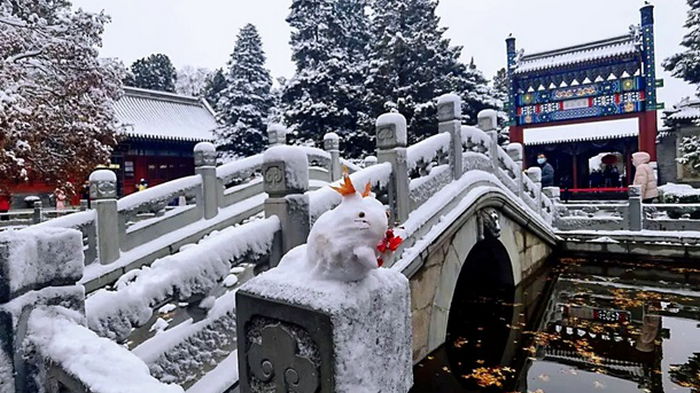 На Китай обрушились мощные снегопады (видео)
