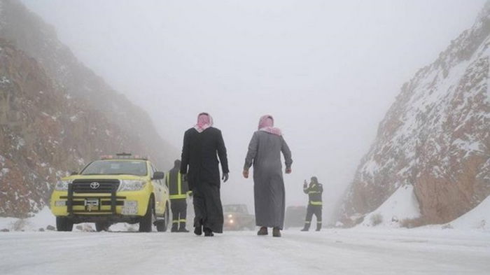 Саудовскую Аравию засыпало снегом (фото)