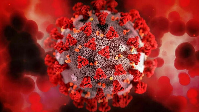 Коронавирусом в мире заболело более 370 млн человек