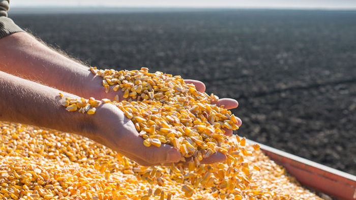 Украина кормит 400 млн людей в мире. Планирует накормить миллиард – министр агрополитики