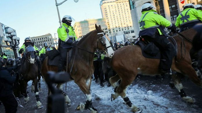 В Оттаве протест разгоняла конная полиция (видео)