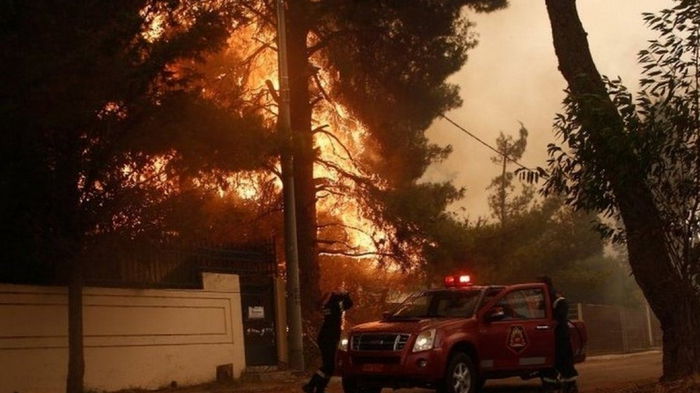 На Земле количество лесных пожаров вырастет на 50%, многие виды вымрут