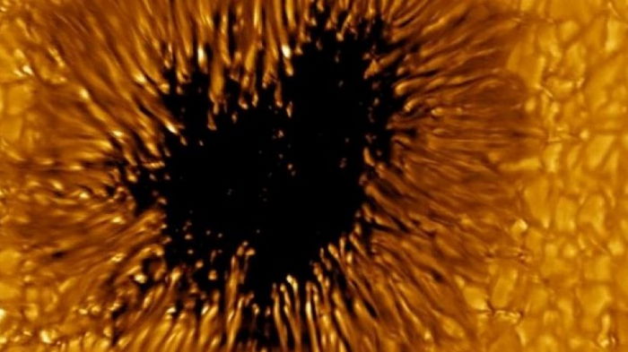 Астрономы обнаружили на Солнце пятно размером с нашу Землю (фото)