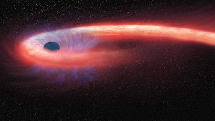 По заветам Эйнштейна. Ученые «бросали» звезды в черные дыры, чтобы узнать какая выживет (видео)