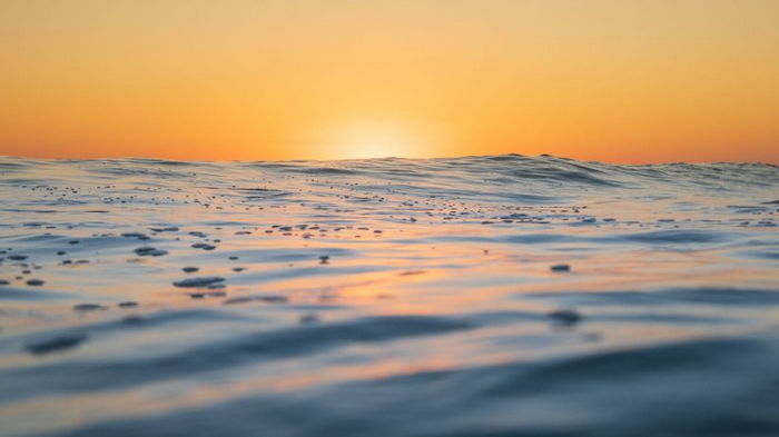 К 2100 году поверхность океана может кардинально ухудшиться, — ученые