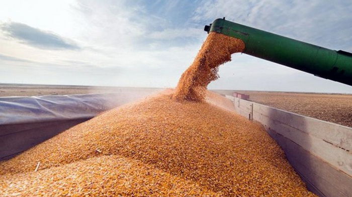 Кабмин упростил экспорт пшеницы