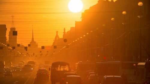 ВОЗ: в Европе от экстремальной жары уже погибли более 1700 человек