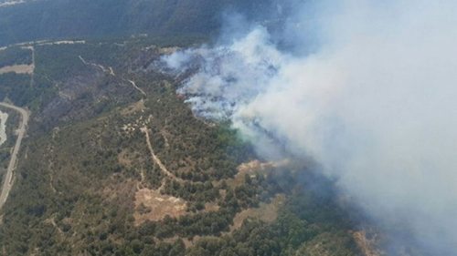 В Испании и Португалии бушуют лесные пожары: есть пострадавшие