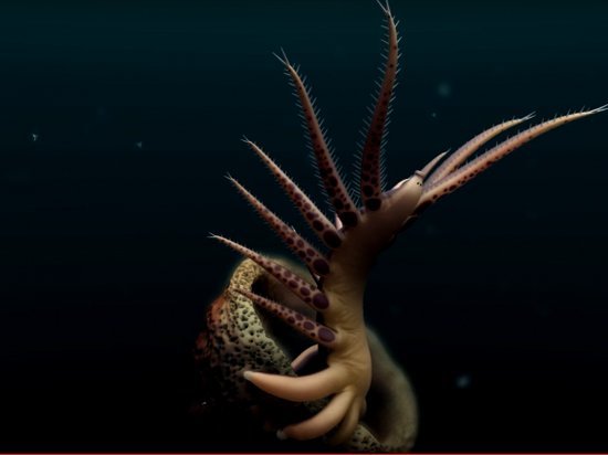 Ученые нашли останки удивительного морского существа (видео)