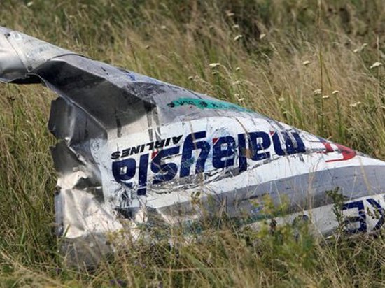 В Нидерландах не смогли расшифровать данные РФ по MH17