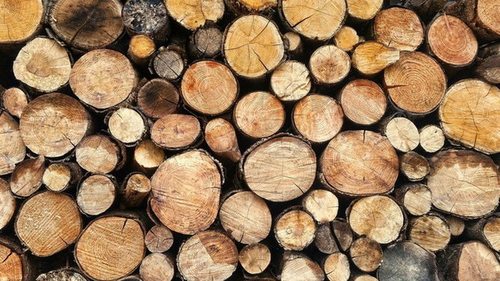 В Украине упростили закупку дров перед отопительным сезоном