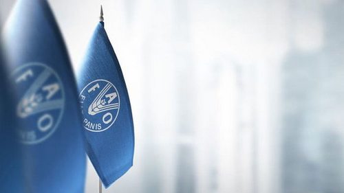Продовольственная организация ООН откроет офис в Украине