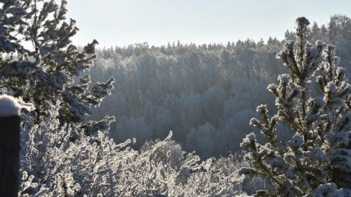 Морозы до -25 и первый снег уже осенью: синоптики дали прогноз на зиму 2022-2023