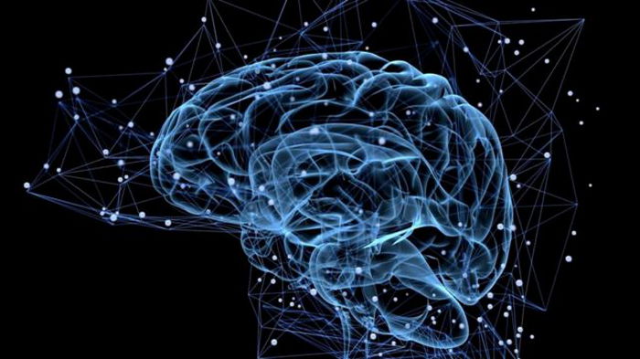 Особые нейроны в нашем мозге, кодируют течение времени человека, — ученые