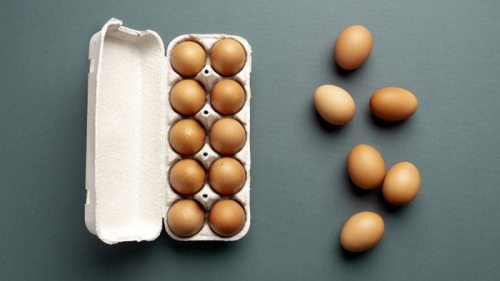 Порода «мажорка»? В Киеве обнаружили яйца по 280 гривен