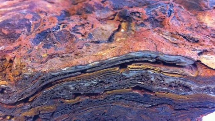 Когда появилась жизнь. Ученые обнаружили каменные структуры возрастом 3,5 млрд лет