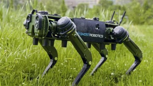 Компания Boston Dynamics подала в суд на конкурента за плагиат робота-собаки Spot