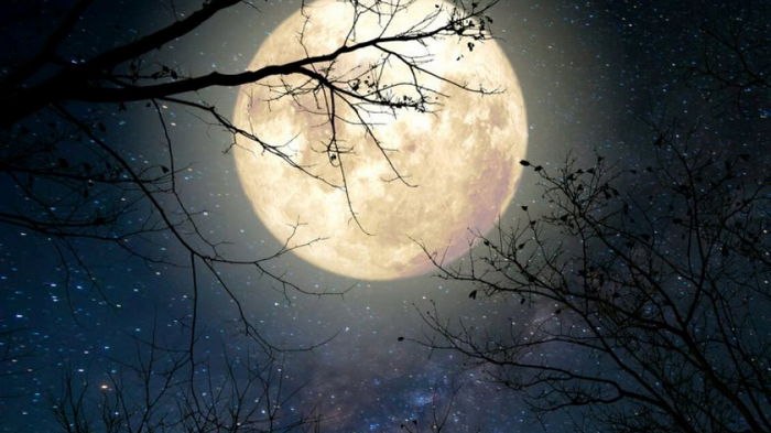 Лунный календарь на декабрь: благоприятные и неблагоприятные дни месяца