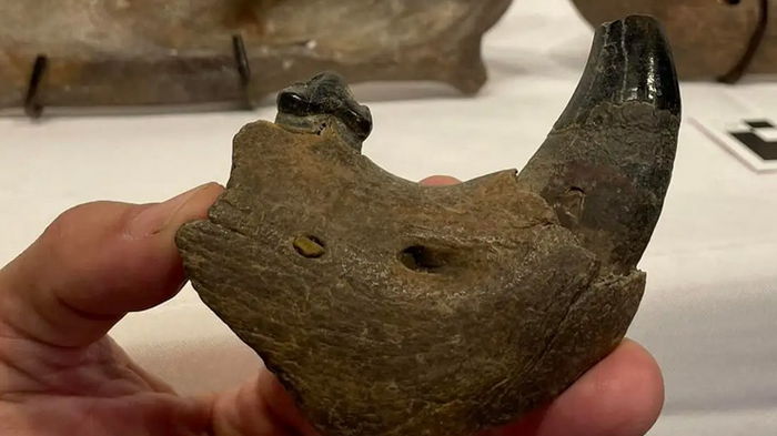 Невероятная находка: американец нашел в реке артефакт, которому 11 тысяч лет