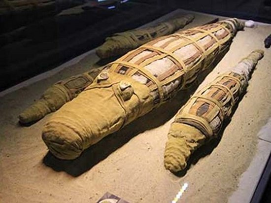 В Египте ученые нашли мумию огромного крокодила (фото)