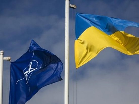 НАТО ждет от Киева реформы Службы безопасности