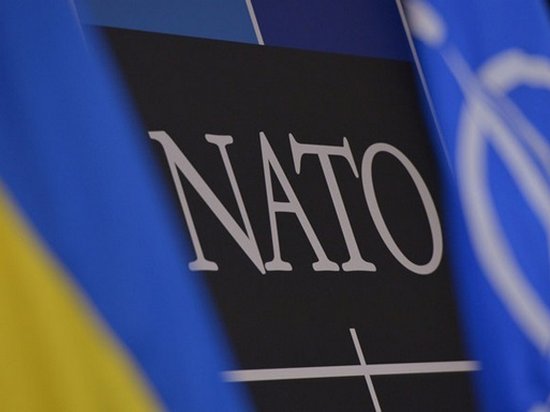 В Администрации президента исключили скорый референдум по НАТО