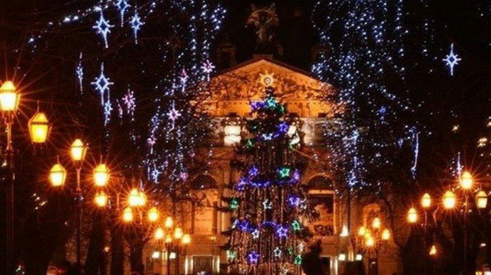 Во Львове установят новогоднюю елку — мэр