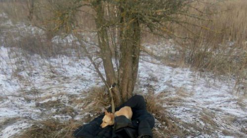 В Киевской области мужчина спас собаку ценой собственной жизни