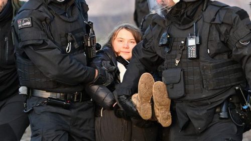 Полиция в Германии задержала Грету Тунберг