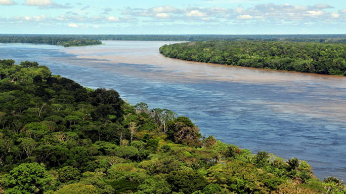 Ліси Амазонки на 38% зруйновано людьми — вчені