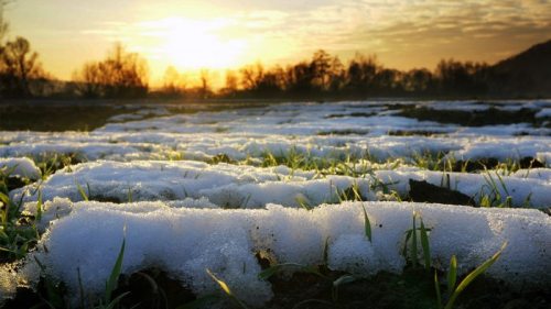 Зима в Украине завершится «спокойной» погодой. Синоптик дала прогноз на сегодня
