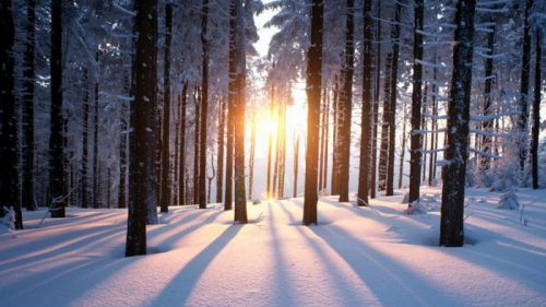 Праздник 25 февраля: чем особенный этот день зимы, что сегодня нельзя делать