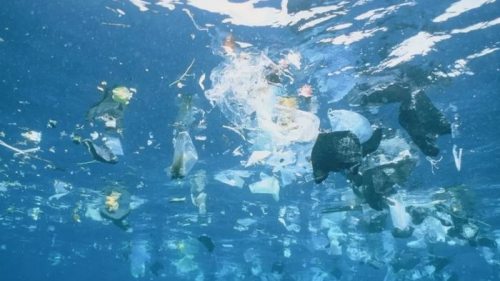 Океан задыхается. К 2040 году в воде окажется более 500 триллионов пластиковых кусочков