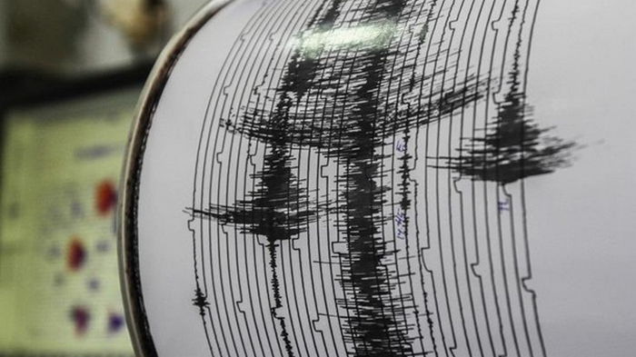 В Иране в результате землетрясения пострадали 165 человек