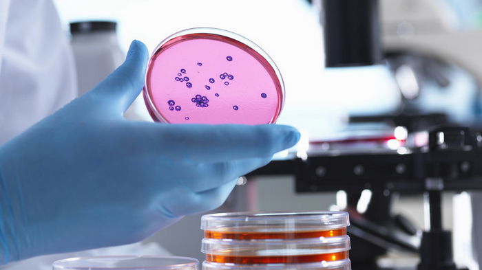Инфекция может быть в каждом штате: ученые предупредили о возможной вспышке опасных бактерий